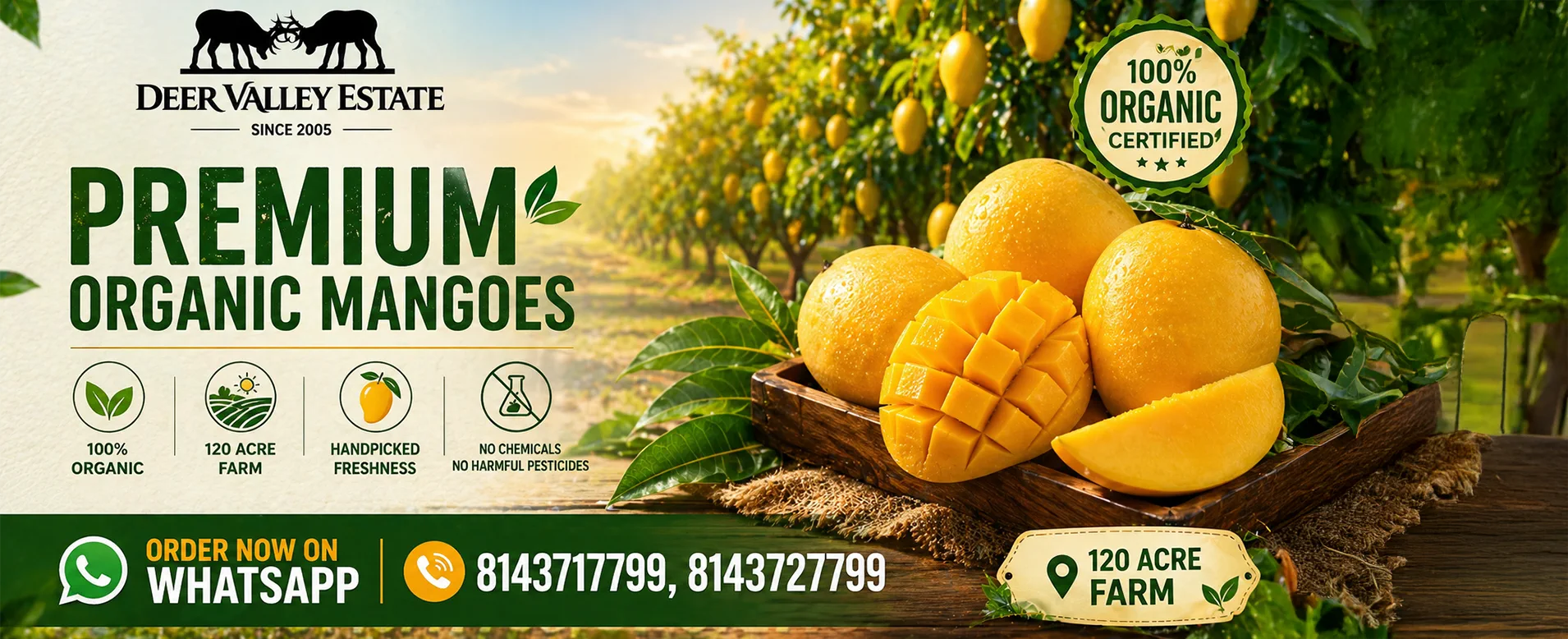 Deer Valley Estate mangoes