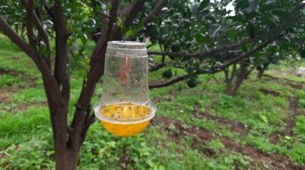 Natural pest management