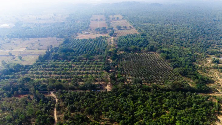 Estate aerial view